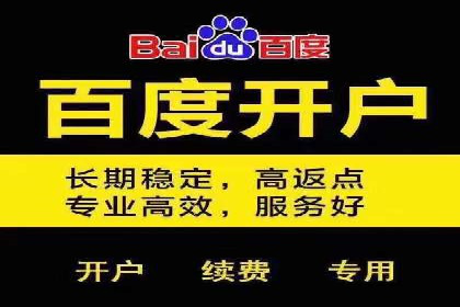 信息流广告投放公司案例分析报告